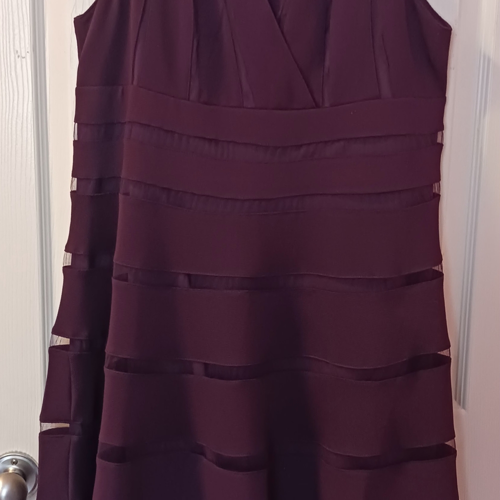 Elegant Plum Sleeveless Dress